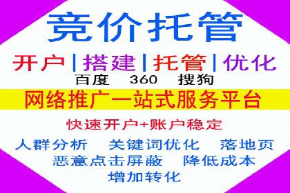 某SEM外包公司广告投放策略及效果评估